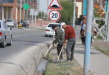 ЖАЛПЫҚАЛАЛЫҚ СЕНБІЛІКТЕ 100 ТОННАДАН АСТАМ ҚОҚЫС ЖИНАЛДЫ