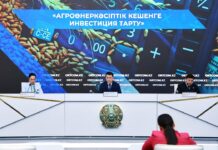 Агроөнеркәсіптік кешенге инвестиция тарту шаралары туралы