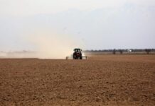 Қазақстанның оңтүстік өңірлерінде көктемгі егіс науқаны аяқталуға жақын