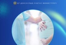 5 МАМЫР — ДҮНИЕЖҮЗІЛІК АКУШЕРЛЕР КҮНІ