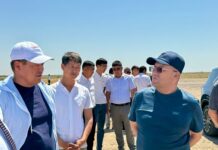 Ауыл шаруашылығы зиянкестерімен күрес нәтижелі іске асырылуда