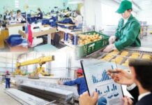 Жыл басынан бері 158 мыңға жуық адам жұмыспен қамтуға жәрдемдесудің белсенді шараларымен қамтылды