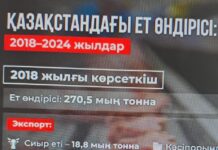 6 жылда Қазақстандағы ет өндірісі қалай өзгерді