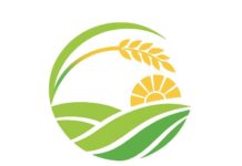 2025 жылы Қазақстандағы ауылдарда 176,4 млрд теңгенің мың жаңа жобасы іске асырылуда