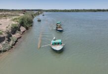 АРЫСТА ШІРКЕЙГЕ ҚАРСЫ ДЕЗИНСЕКЦИЯЛЫҚ ЖҰМЫСТАР ҚАРҚЫНДЫ ЖҮРГІЗІЛУДЕ