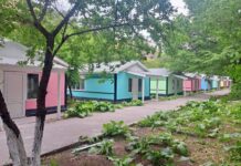 ТҮРКІСТАН ОБЛЫСЫНДА АЛҒАШ РЕТ МОДУЛЬДІ ЛАГЕРЬ ЖОБАСЫ ІСКЕ АСЫРЫЛДЫ