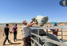 ШАРДАРАДА ЭКОЛОГИЯЛЫҚ БАҒЫТТА ЖАСТАР СЛЕТІ ӨТТІ