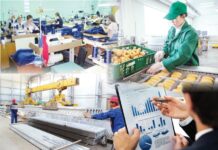 Түркістан облысы: экономиканы жаңғыртудың бүгіні мен келешегі