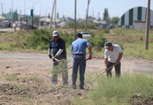 ТҮРКІСТАНДА ЖАЛПЫҚАЛАЛЫҚ СЕНБІЛІККЕ 800-ДЕН АСТАМ АДАМ ҚАТЫСТЫ
