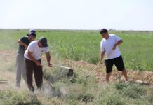 ТҮРКІСТАНДА «ТАЗА ҚАЛА – ОРТАҚ МІНДЕТ» АТТЫ СЕНБІЛІК ӨТТІ