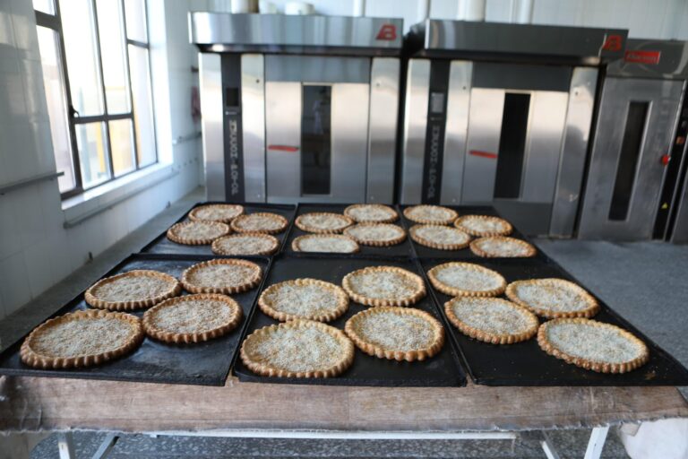 ТҮРКІСТАНДА НАН ЖӘНЕ ЕТ ӨНДІРІСІ ҚАРҚЫНДЫ ДАМЫП КЕЛЕДІ