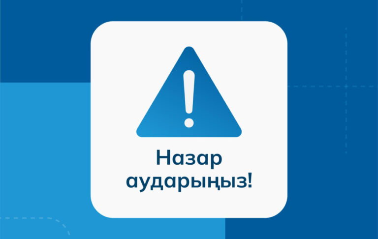 Автокөлік әуесқойлары интернет-алаяқтардың нысанасына айналды