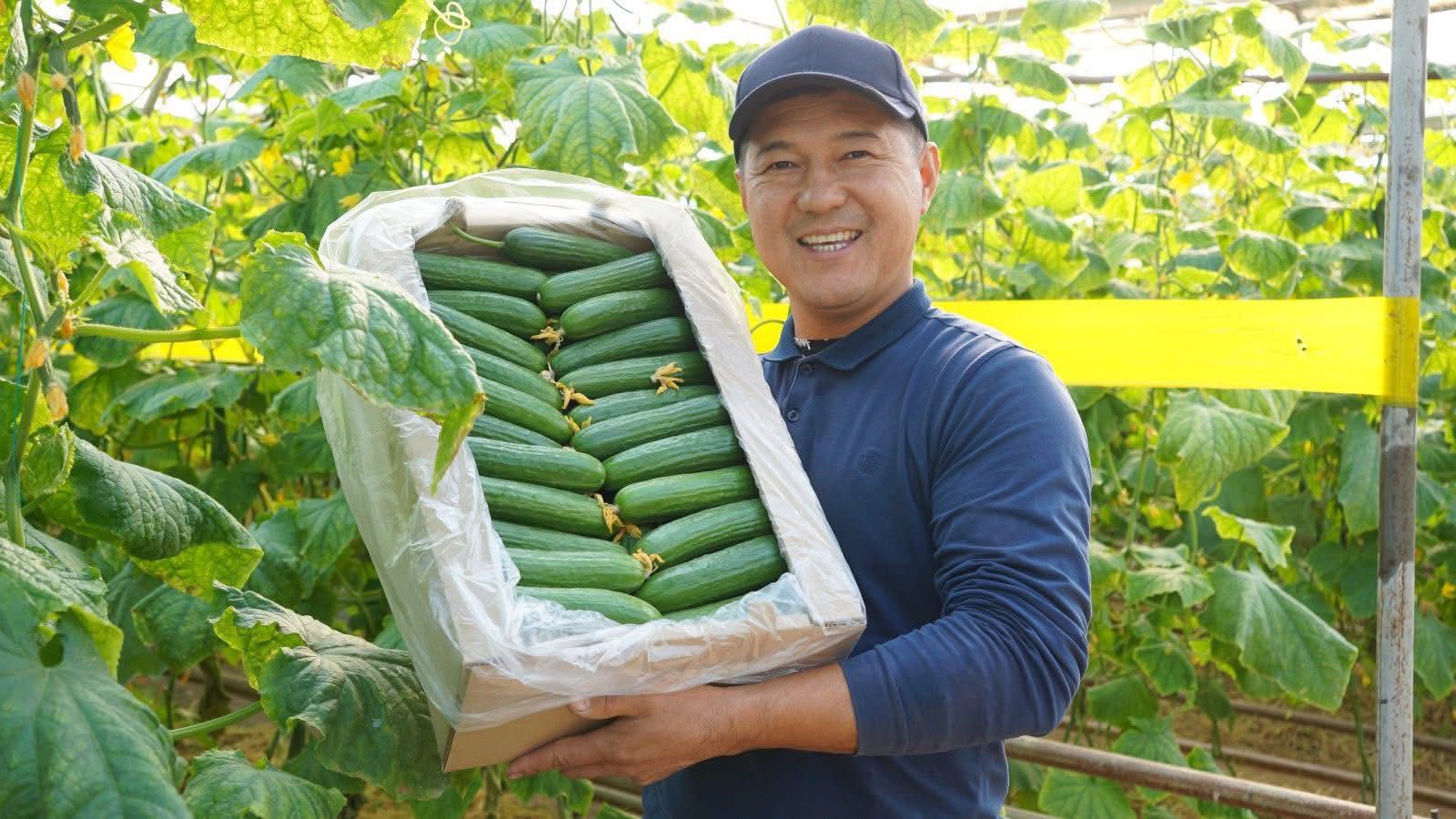 ТҮРКІСТАН: ОРДАБАСЫЛЫҚ ШАРУА ЖЫЛЫЖАЙДАН 400 ТОННАҒА ЖУЫҚ ӨНІМ АЛАДЫ