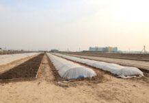 ТҮРКІСТАНДАҒЫ 10 ГЕКТАР АУМАҚТА ТҰҚЫМБАҚ ІСКЕ ҚОСЫЛДЫ