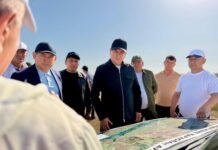 ТҮРКІСТАН ОБЛЫСЫНДА 275 МЫҢ ГЕКТАР АЛҚАП ӨҢДЕЛДІ
