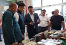 ӨЗБЕКСТАНМЕН ЫНТЫМАҚТАСТЫҚ – САУРАН АУДАНЫНЫҢ ЭКОНОМИКАЛЫҚ ДАМУЫНА ЖАҢА МҮМКІНДІК