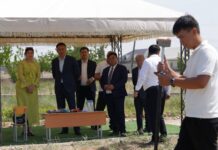 САУРАНДА ХАЛЫҚАРАЛЫҚ ИНВЕСТИЦИЯЛЫҚ ЖОБАЛАР ІСКЕ АСЫП, ӨҢІРДІҢ ӨНДІРІСТІК ӘЛЕУЕТІ АРТЫП КЕЛЕДІ