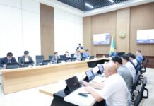 Сауран ауданында экономиканы әртараптандыру мен өзін-өзі қамтамасыз ету бағытындағы міндеттер нақтыланды