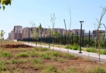 ТҮРКІСТАНДА АБАТТАНДЫРУ ЖҰМЫСТАРЫНЫҢ САПАСЫ БАҚЫЛАУДА: ЖАСЫЛ ЭКОНОМИКА ҚАҒИДАТТАРЫ НЕГІЗІНДЕ ЭКОЛОГИЯЛЫҚ ОРТА ҚАЛЫПТАСУДА