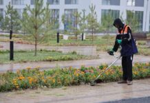 ТҮРКІСТАНДА ҚАЛА ТАЗАЛЫҒЫ МЕН АБАТТАНДЫРУ ЖҰМЫСТАРЫ ЖАСЫЛ ЭКОНОМИКА ҚАҒИДАТТАРЫ НЕГІЗІНДЕ ЖҮРГІЗІЛУДЕ
