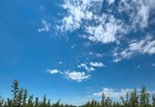 САУРАН: ЖАҢА ИҚАНДА ТАМШЫЛАТЫП СУАРУ ЖҮЙЕСІ АРҚЫЛЫ ӨСІРІЛГЕН АЛМА ӨНІМІ ЖИНАЛУДА