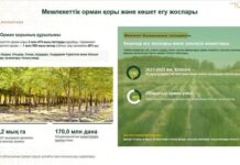 ТҮРКІСТАН ӨҢІРІНДЕГІ КӨГАЛДАНДЫРУ ЖҰМЫСТАРЫ – «ЖАСЫЛ ЭКОНОМИКАҒА» БАСТАР ЖОЛ