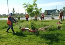 Түркістанда жасыл экономиканы дамытуға бағытталған жұмыстар жалғасуда